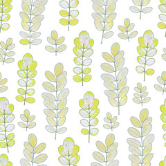 Abstract yellow and green acacia leaf pattern on white background. Design for backgrounds, wallpapers, covers and packaging.