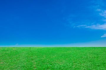 Fototapeta na wymiar A landscape of vast green fields and blue skies with white clouds floating with the sun shining down.