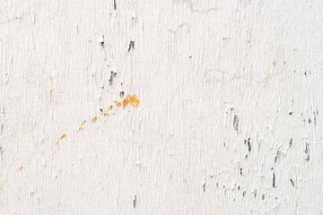 Close up old white wooden texture and background wirh copy space
