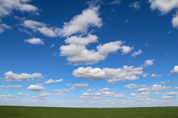 bright country farm green grass field with fluffy white clouds cloudscape as a landscape nature scene
