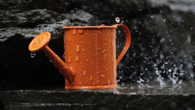 Rain. Water fills the orange watering can. Garden watering can full of rainwater.