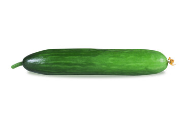 Fresh cucumber on isolated white background