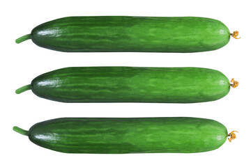 Cucumber on an isolated white background. Three fresh cucumbers, top view