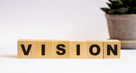 The word VISION on wooden cubes on a light background near a flower in a pot. Defocus