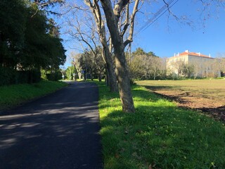 estrada parque natureza