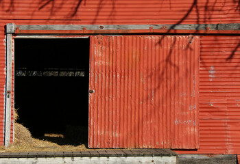 vintage retro bright red metal farm barn loading dock door open with livestock feed hay and tree...