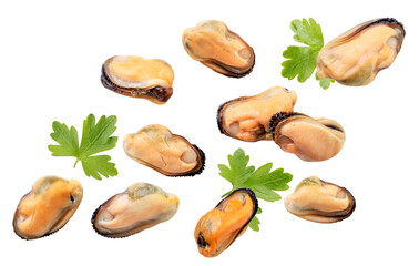Mussels peeled with parsley fly on a white background. Isolated