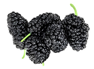 Fresh blackberries isolated on the white background. Black berry  top view. Flat lay..