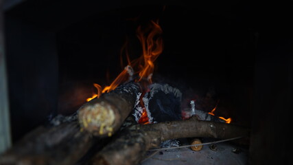 fogo lareira madeira paus 