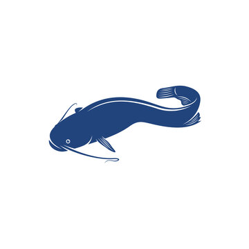 Catfish design vector illustration, Creative Catfish logo design concept template, symbols icons