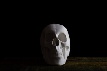 skull on black
