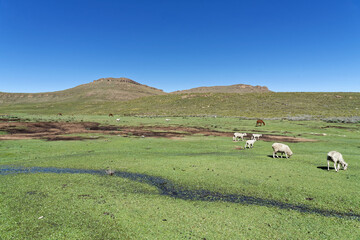 Lesotho - Wandern in den Drakensbergen