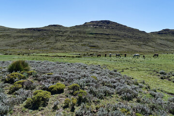 Lesotho - Wandern in den Drakensbergen