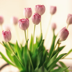 Naklejka premium Dutch pink/purple tulips in a vase