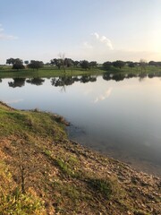 lago árvores natureza 