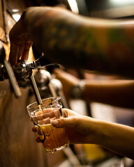 person holding a glass of wine