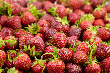 Strawberry red berries closeup. Fresh strawberries