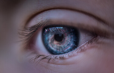 Paisaje con bonitos colores