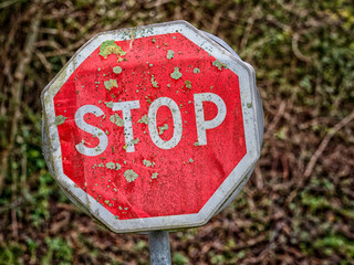 Road sign, Stop, Stop sign, Octagon, Intersection, Lichen, Octagonal, Traffic sign