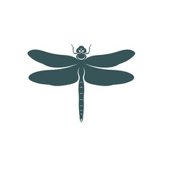 Dragonfly design vector illustration, Creative Dragonfly logo design concept template, symbols icons