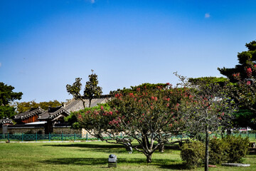 韓国、慶州の公園の情景