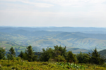 View from above of the hills mountains and fir trees home buildings in the village in summer season Carpathian mountains, Ukraine