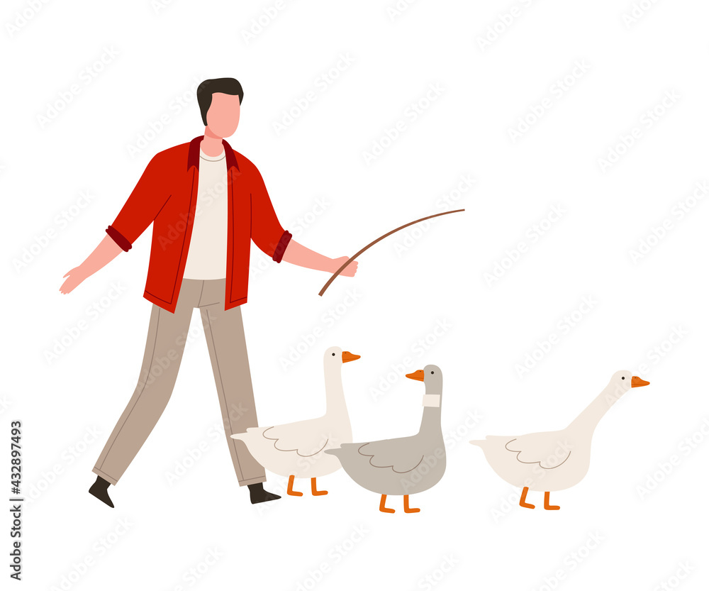 Poster man farmer with whip punching geese vector illustration