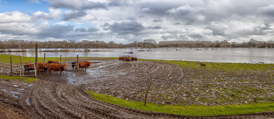 Flooding of the Isle River