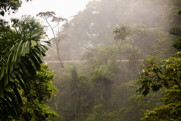 Obraz premium Mistico Arenal Hanging Bridges Park