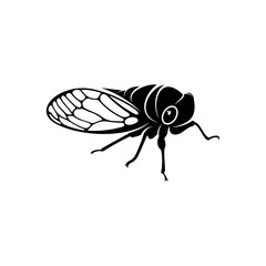 Cicada design vector illustration, Creative Cicada logo design concept template, symbols icons