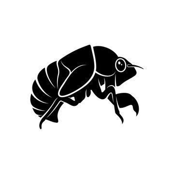 Cicada design vector illustration, Creative Cicada logo design concept template, symbols icons