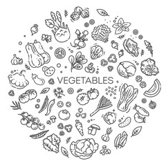 Vegetables doodle drawing collection. Vector illustration