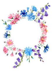 Wild flowers circle frame: chicory, cosmos flowers, bluebells, cornflowers. Floral wreath. Hand drawn watercolor illustration on white background