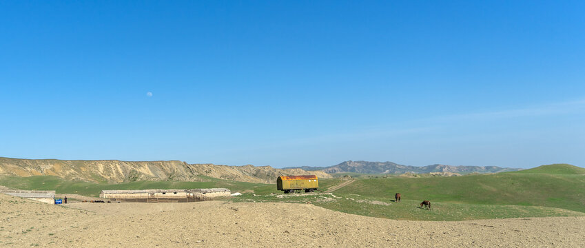 Pastoral landscape in green Kahetia fields