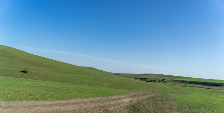 Pastoral landscape in green Kahetia fields