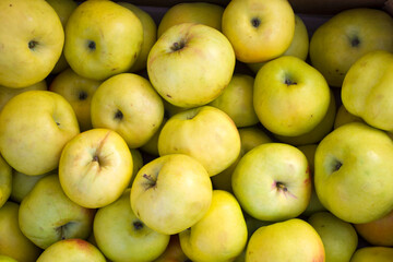 many apples in a market, summer background