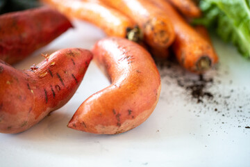 Assortment of Fresh Produce