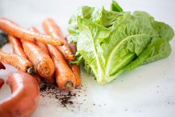 Assortment of Fresh Produce