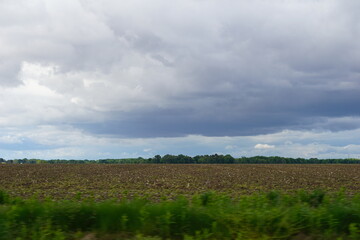 Rain clouds over hay field
