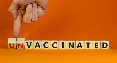 Vaccinated or unvaccinated symbol. Doctor turns wooden cubes and changes words 'unvaccinated' to 'vaccinated'. Beautiful orange background, copy space. Medical, vaccinated or unvaccinated concept.