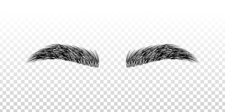 Vector realistic isolated black eyebrows for template decoration on the transparent background.