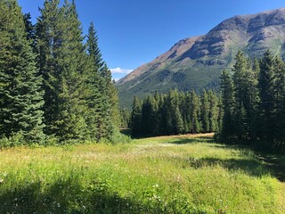 Hiking views from Castle Mountain Area Near Pincher Creek, Alberta, Canada  on a warm sunny day 