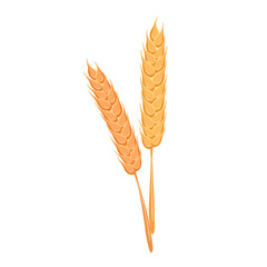 Cartoon vector illustration isolated object ear of rice