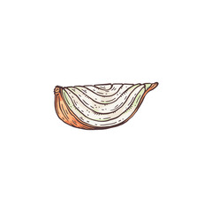 Obraz premium Small piece of cut white onion in hand drawn cartoon style ,isolated