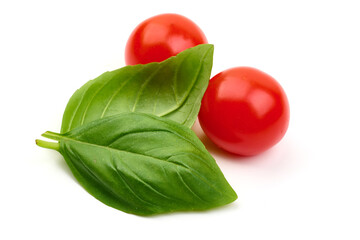 Basil leaves, isolated on a white background. High resolution image