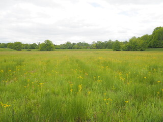 The field and blue sky on a spring afternoon.