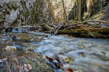 Flowing creek, Velky Sokol gorge, Slovak Paradise national park