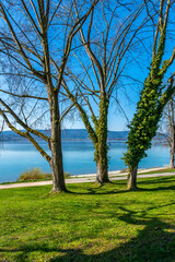 Radolfzell Seeufer Mettnau Bodensee Sommerzeit 