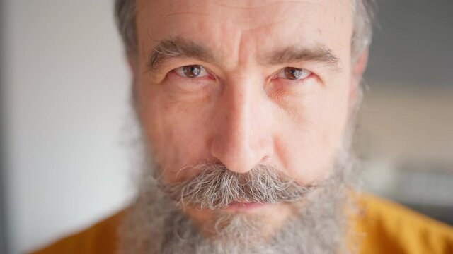 Closeup face of confident senior man adjusting his gray mustache and looking at camera with his brown eyes