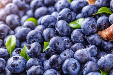 Fresh blueberry background. Blueberry Texture Close Blueberry Antioxidant Organic Superpeed Bowl Concept Healthy Nutrition